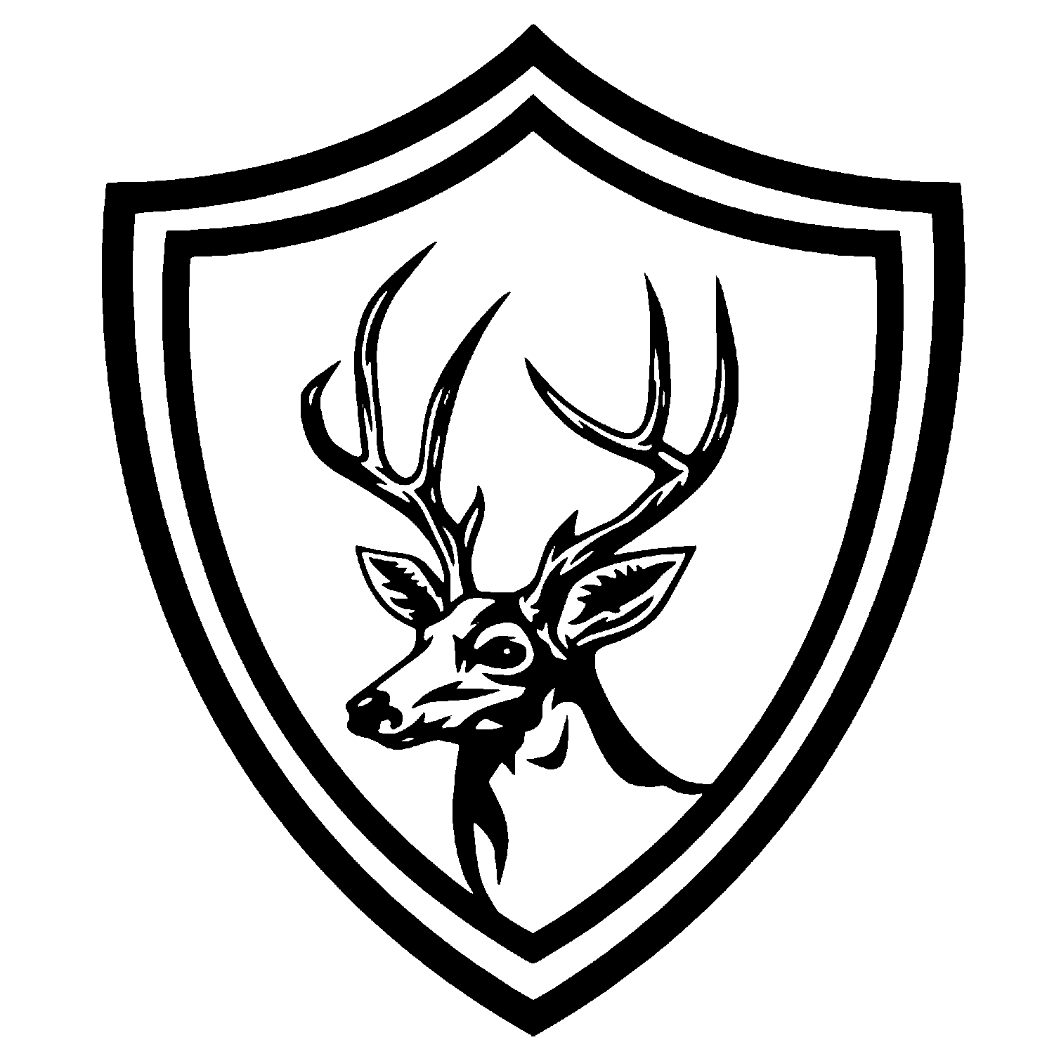 Blackbuck CyberTech – Best Website Development Company In Rajasthan